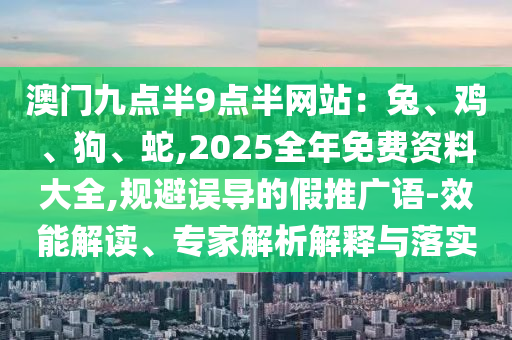 澳門九點(diǎn)半9點(diǎn)半網(wǎng)站：兔、雞、狗、蛇,2025全年免費(fèi)資料大全,規(guī)避誤導(dǎo)的假推廣語-效能解讀、專家解析解釋與落實(shí)