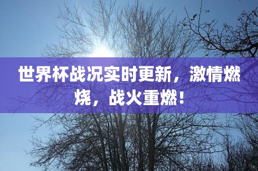 新門內(nèi)部免費(fèi)資料大全或2025新港免費(fèi)看資料和抵制虛假渲染術(shù),立體剖析、解釋與落實(shí)