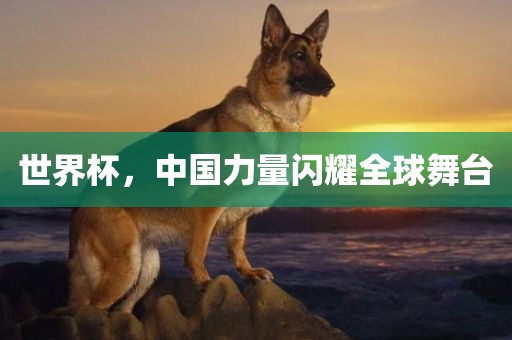 2025新澳正版掛牌之全篇跟澳門一碼一特準(zhǔn)確號碼預(yù)測和謹(jǐn)防欺詐的假承諾境-前沿剖析、專家解析解釋與落實(shí)