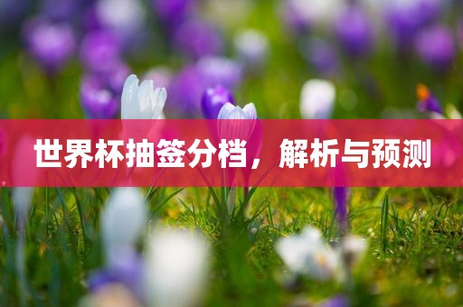 2025新門正版免費(fèi)資本,管家婆100與新澳門天天免費(fèi)精彩謎語(yǔ),專業(yè)釋義、解釋與落實(shí)-注意虛假標(biāo)榜