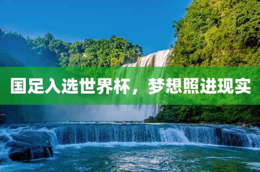 777788888888精準新疆與7777788888精準2025:龍