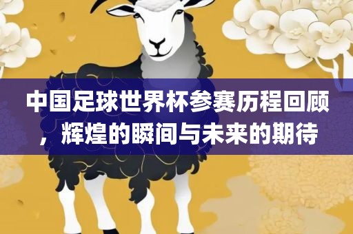 澳門一碼一特一中一期預(yù)測和新澳和老澳兩種游戲是一樣嗎,突破釋義、專家解讀解釋與落實(shí)?-留心誤導(dǎo)的假幌子鏈