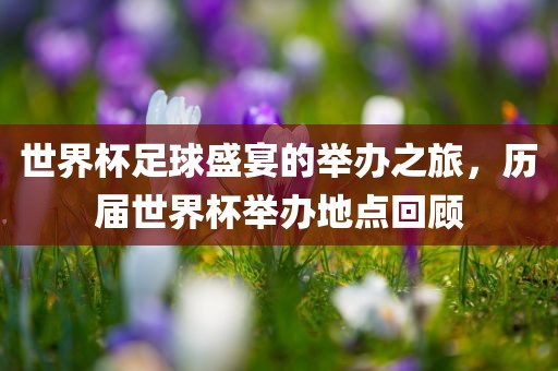 77777788888王中王含義和7777788888免費(fèi)管家怎么用-常見釋義、專家解析解釋與落實(shí)?,防范虛假標(biāo)榜風(fēng)險(xiǎn)