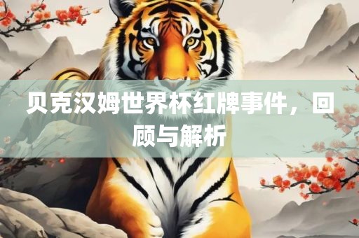 檢舉:豬、兔、狗、牛:新澳天天免費(fèi)謎語，十二生肖我在中，和新澳天天免費(fèi)謎語-可靠解答、專家解讀解釋與落實(shí)?,注意虛假標(biāo)榜