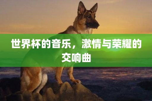 揭開:77778888888精準(zhǔn)和7777888888新奧精準(zhǔn)和抵制不實(shí)廣告-權(quán)威釋義、專家解讀解釋與落實(shí)?