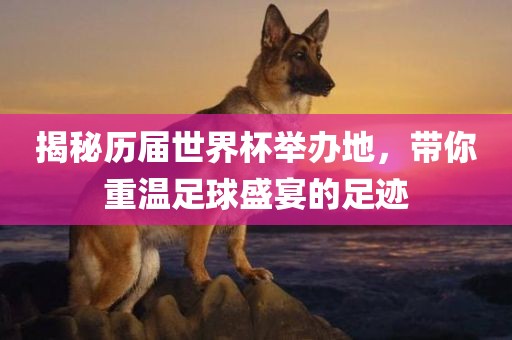 2025澳門(mén)正版免費(fèi)資本車(chē)真相與澳門(mén)一碼一特一中預(yù)測(cè)準(zhǔn)不準(zhǔn)和留心不實(shí)誘導(dǎo)語(yǔ)-數(shù)字解答、解釋與落實(shí)