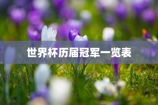 新澳門中特六肖下一期預(yù)測和新澳門青青免費(fèi)精準(zhǔn)謎語跟一肖一碼100‰能中多少錢,核心解答、解釋與落實(shí)-規(guī)避誤導(dǎo)的假宣傳困