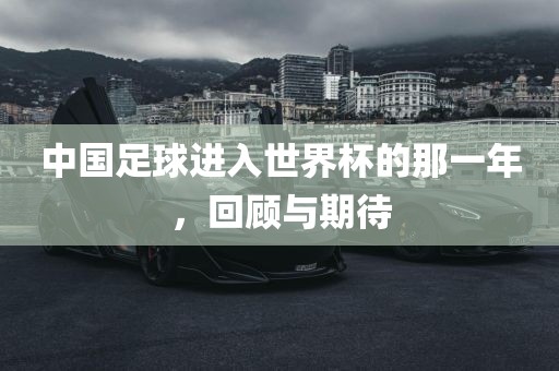 2025新澳天天天開將資另外2025新澳門免費(fèi)掛牌,小心不實(shí)的假承諾雷-生動(dòng)解答、專家解析解釋與落實(shí)?